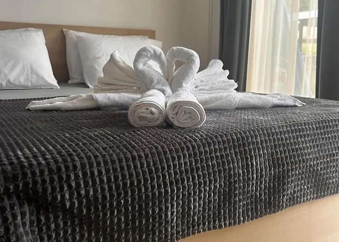 Donevi * 로가체보